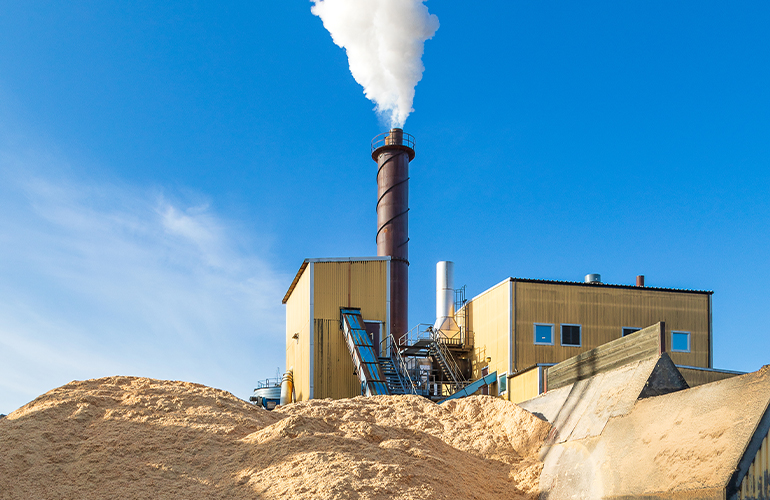 Cross-sector stakeholders call for workable EUDR solutions