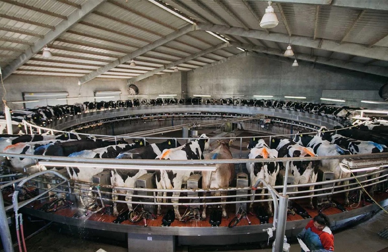 Brightmark RNG Holdings opens Eloy Circularity Center