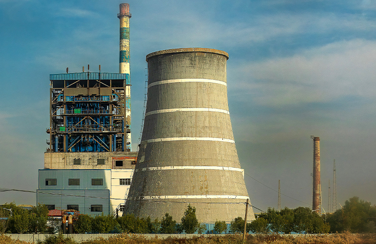 WBA releases 10th Global Bioenergy Statistics Report