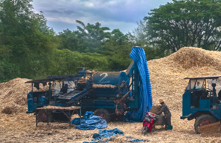 WBA releases Autumn webinar series program