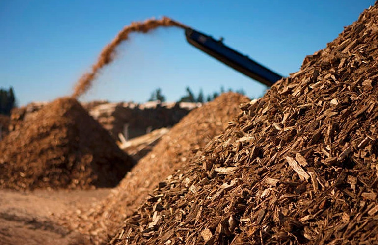 Eternali starts woodchip business in Brazil