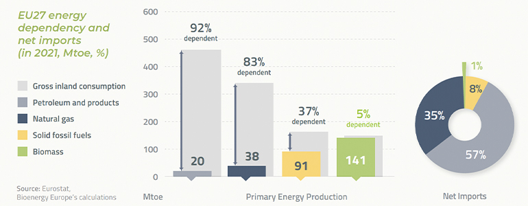 Navigating the EU Energy Transition – Bioenergy Europe Landscape report