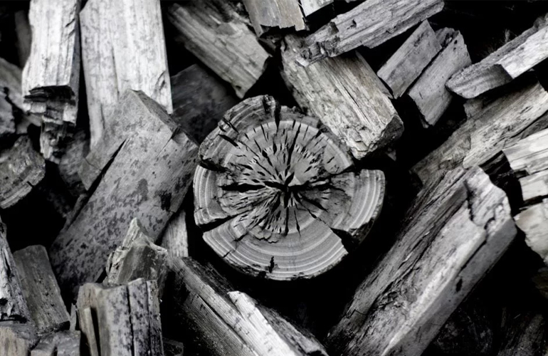 Nexa Resources and Aperam BioEnergia sign bio-oil offtake