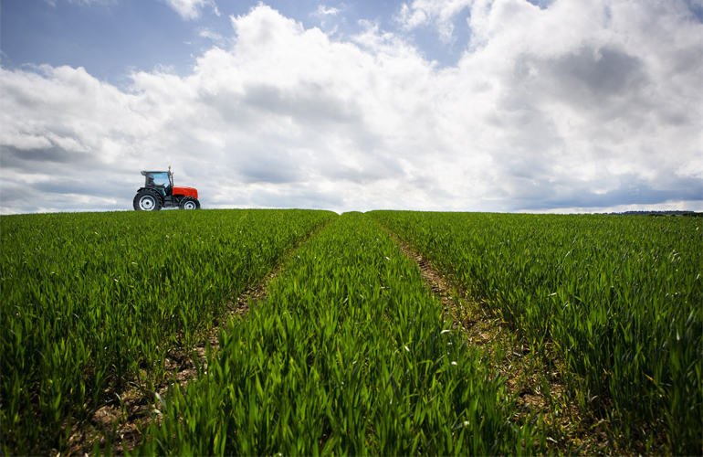 Cepsa and CSIC partner on energy cover crop research