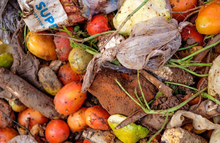 With 783 million people going hungry, a fifth of all food goes to waste UNEP report finds