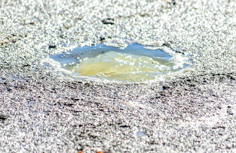 Darling Ingredients eyes emissions reduction via RNG