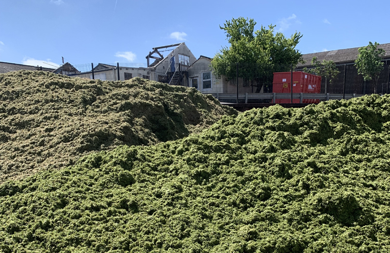 Grass-to-gas project selects Wärtsilä biogas upgrading