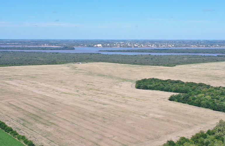 HIF Global selects JM tech for South America’s largest eFuels plant