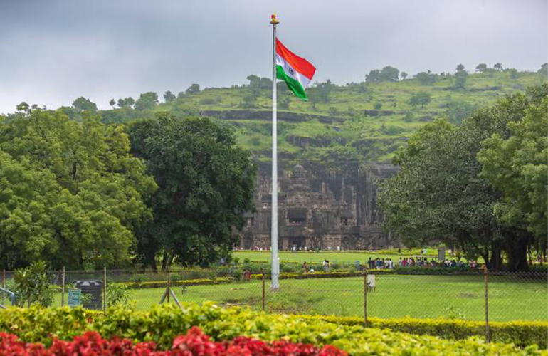 India set to become the world’s largest pellet market?