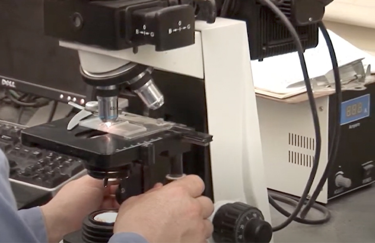 BASF sells bioenergy enzymes business to Lallemand