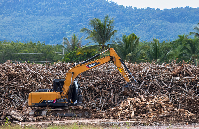 Researchers call for the COP28 Global Stocktake to address the Land Gap