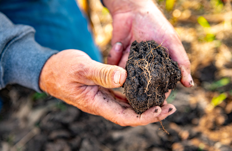 Cargill launches “Cargill Power Canola” for Canadian farmers