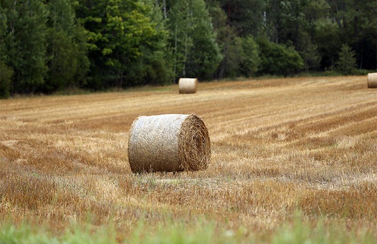 According to a new paper, sustainable bioenergy production in Europe could be tripled by 2050 and it is agriculture that plays a central role with the potential to become at least as important for energy as forest biomass.