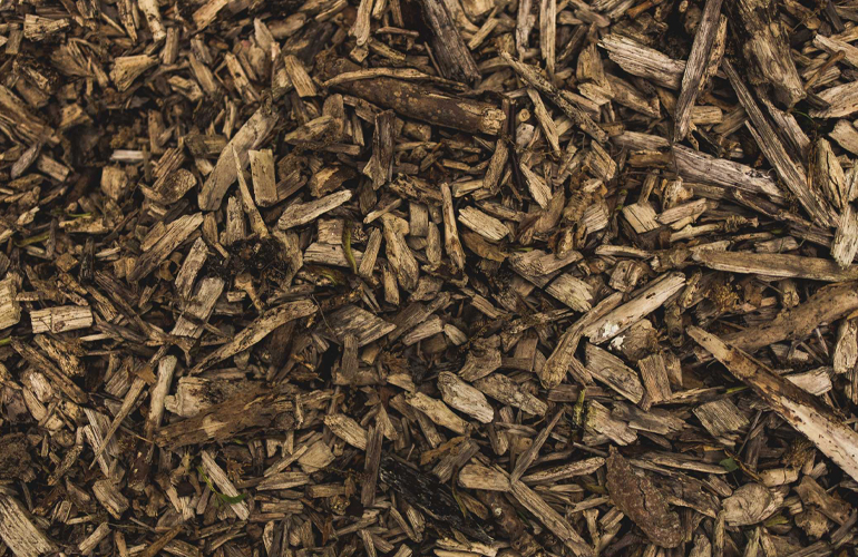 Vow signs LoI for 50 000 tpa biocarbon plant